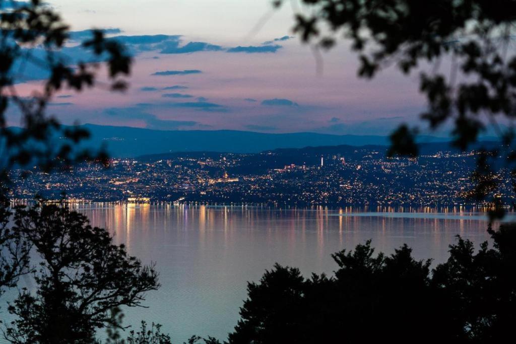 Le Garden - Ski - Vue Lac - Piscine - Parking - Evian - Thonon - Lugrin Exteriér fotografie
