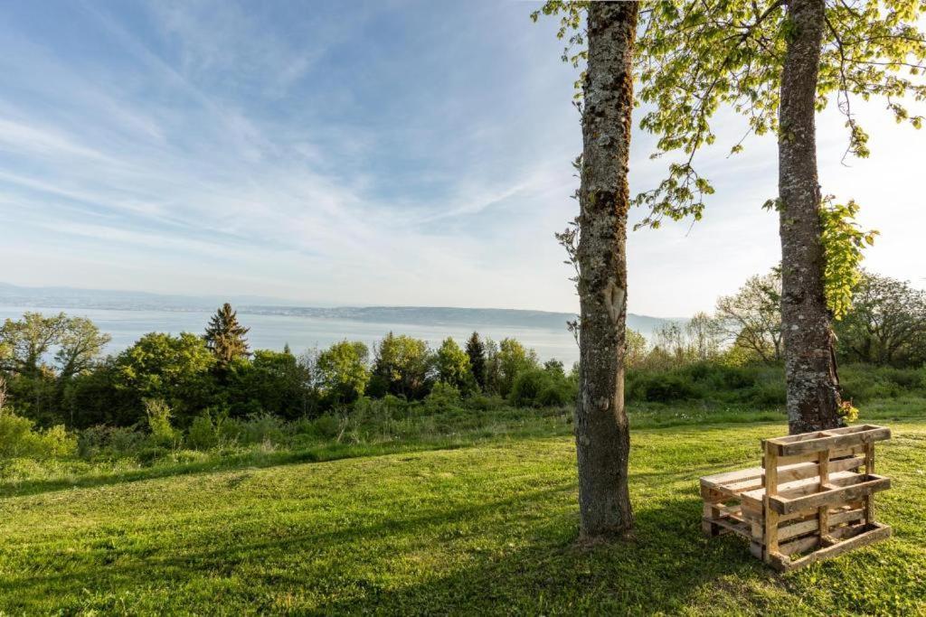 Le Garden - Ski - Vue Lac - Piscine - Parking - Evian - Thonon - Lugrin Exteriér fotografie
